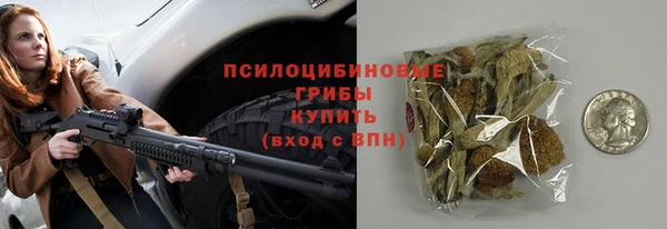 мяу мяу мука Баксан