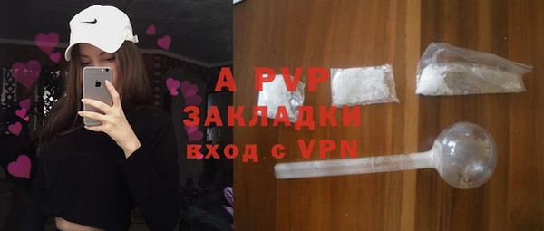 ПСИЛОЦИБИНОВЫЕ ГРИБЫ Беломорск