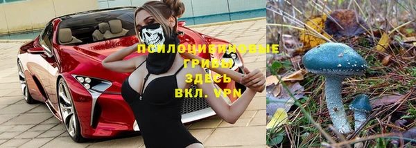 ПСИЛОЦИБИНОВЫЕ ГРИБЫ Беломорск